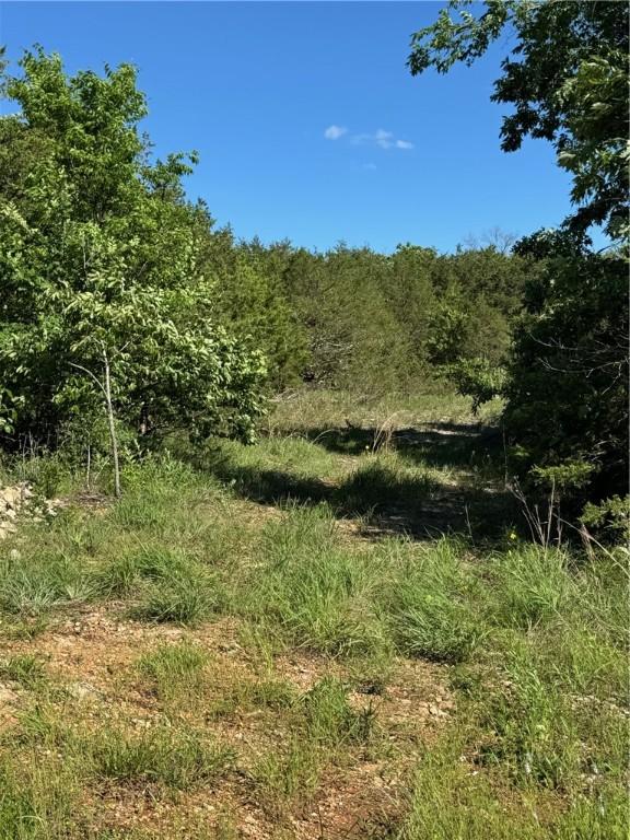 TBD Sonny Ln, Lead Hill, AR 72644 - photo 4