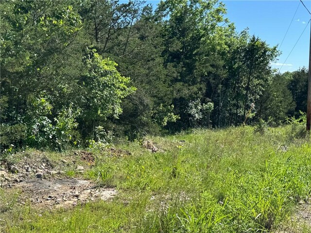TBD Sonny Ln, Lead Hill, AR 72644 - photo 5