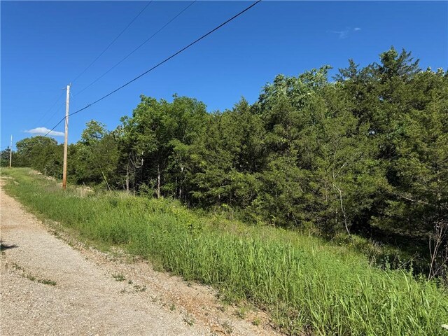 TBD Sonny Ln, Lead Hill, AR 72644 - photo 8