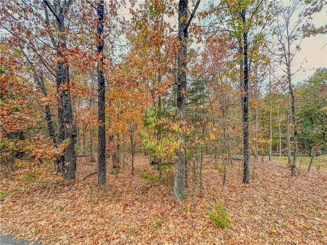 LOT37BLOCK4 Wigtown Ln, Bella Vista, AR 72715 - photo 1