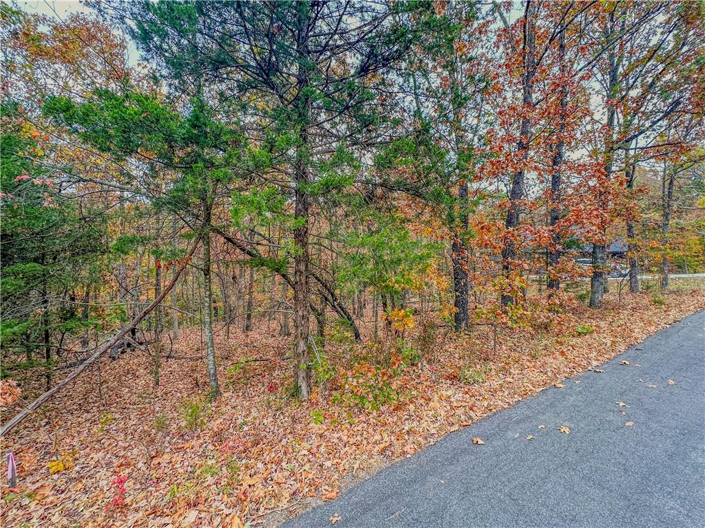 LOT37BLOCK4 Wigtown Ln, Bella Vista, AR 72715 - photo 3