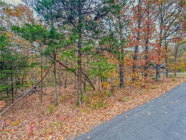 LOT37BLOCK4 Wigtown Ln, Bella Vista, AR 72715 - photo 3