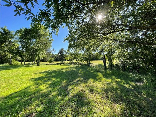 12736 Alpha Rd, Danville, AR 72833 - photo 56