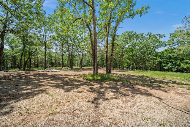 TRACT210601 Slate Gap Rd, Garfield, AR 72732 - photo 26