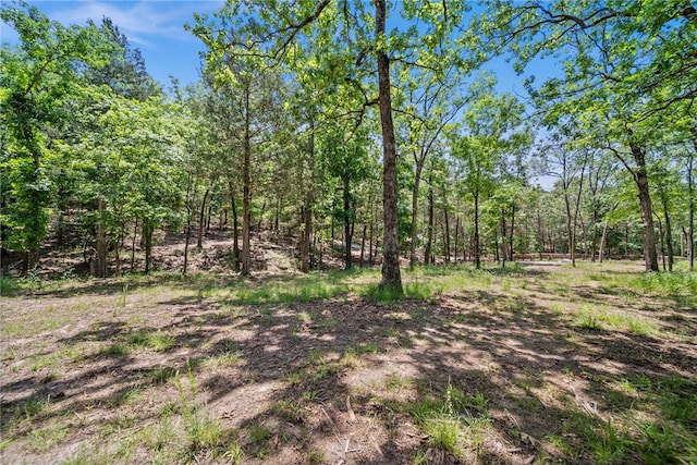 TRACT210601 Slate Gap Rd, Garfield, AR 72732 - photo 27