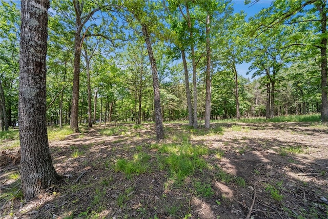TRACT210601 Slate Gap Rd, Garfield, AR 72732 - photo 6