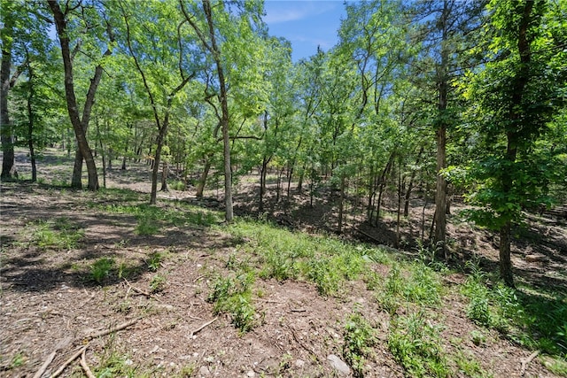 TRACT210601 Slate Gap Rd, Garfield, AR 72732 - photo 8