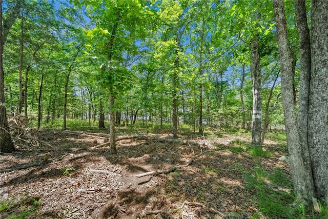 TRACT210601 Slate Gap Rd, Garfield, AR 72732 - photo 10