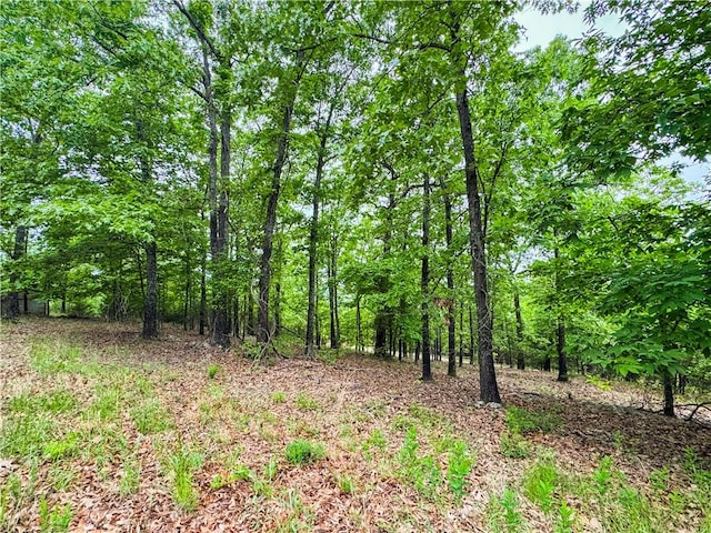 2806 Marion County Unit 2061, Yellville, AR 72687 - photo 21
