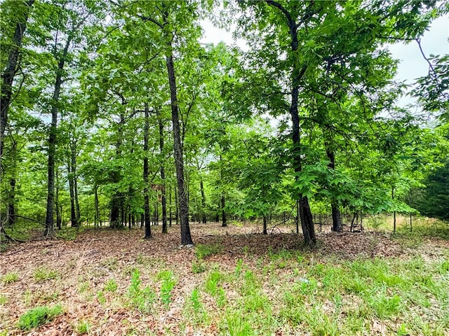 2806 Marion County Unit 2061, Yellville, AR 72687 - photo 22
