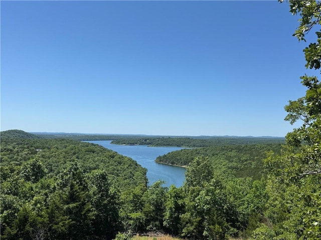 2806 Marion County Unit 2061, Yellville, AR 72687 - photo 1
