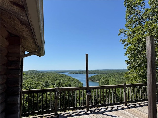 2806 Marion County Unit 2061, Yellville, AR 72687 - photo 2