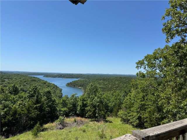 2806 Marion County Unit 2061, Yellville, AR 72687 - photo 3