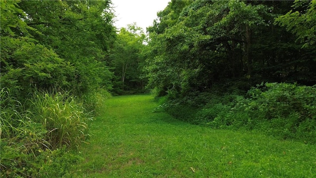 13608 Sugar Mountain Rd, West Fork, AR 72774