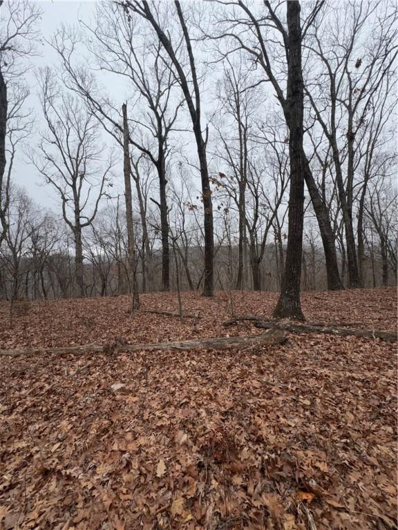 13608 Sugar Mountain Rd, West Fork, AR 72774