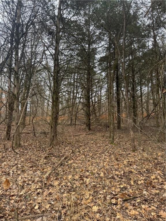 13608 Sugar Mountain Rd, West Fork, AR 72774