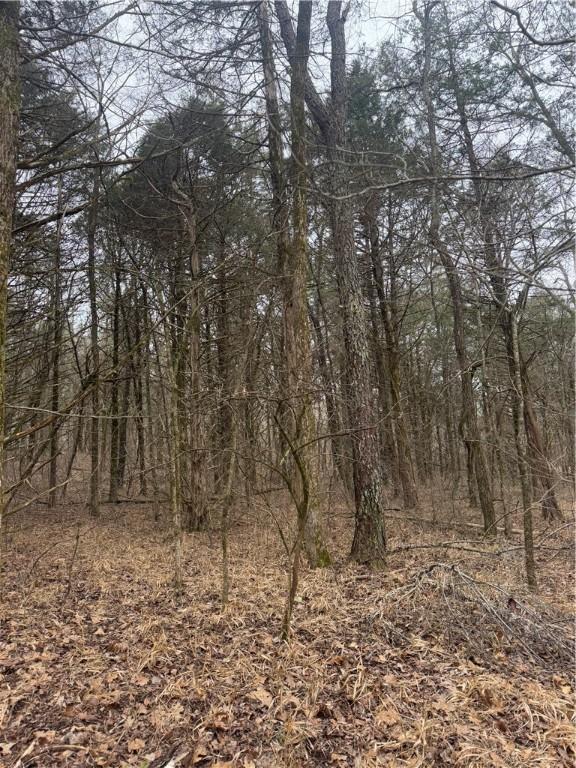 13608 Sugar Mountain Rd, West Fork, AR 72774