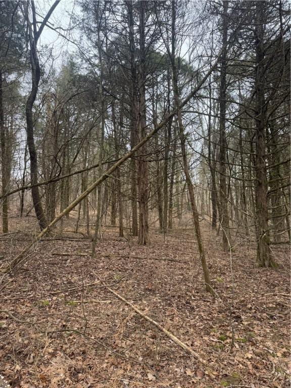 13608 Sugar Mountain Rd, West Fork, AR 72774