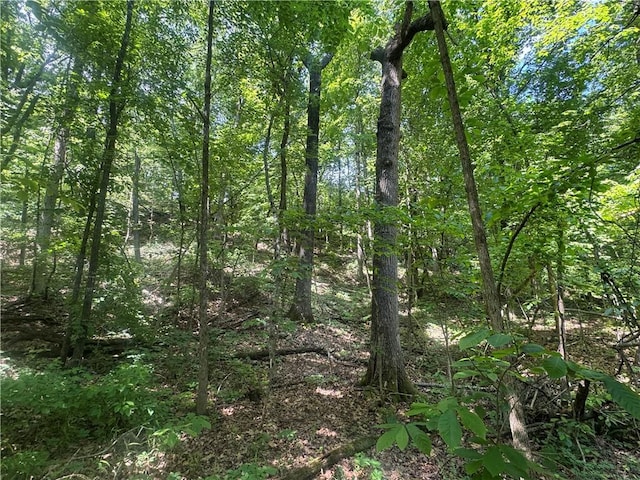 13608 Sugar Mountain Rd, West Fork, AR 72774