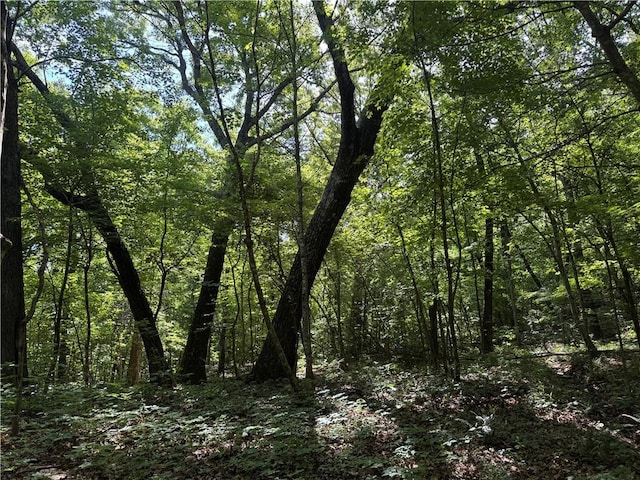 13608 Sugar Mountain Rd, West Fork, AR 72774