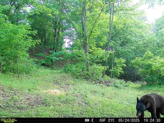 13608 Sugar Mountain Rd, West Fork, AR 72774