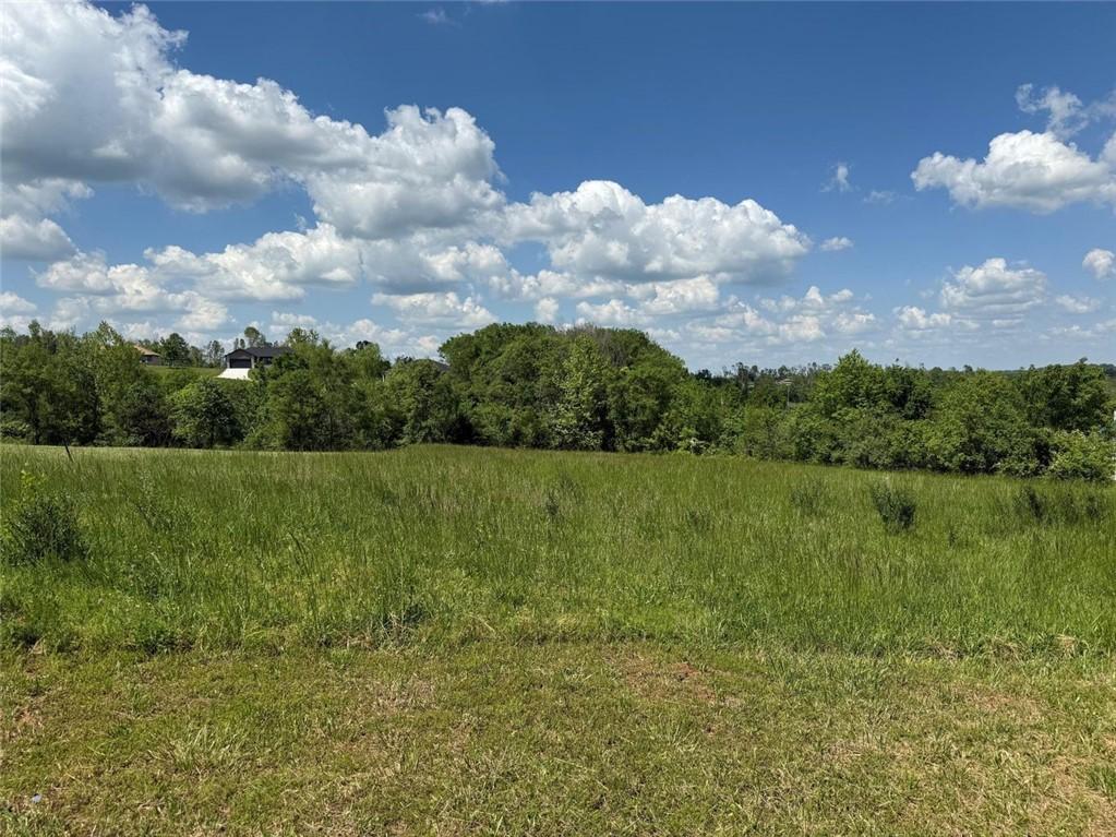 Blackberry Ct, Cassville, MO 65625