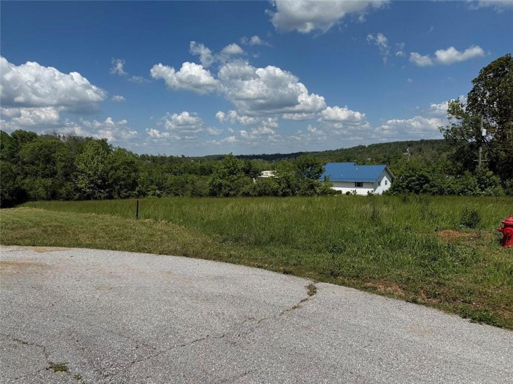 Blackberry Ct, Cassville, MO 65625