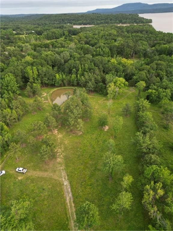 119 Alley Dr, London, AR 72847