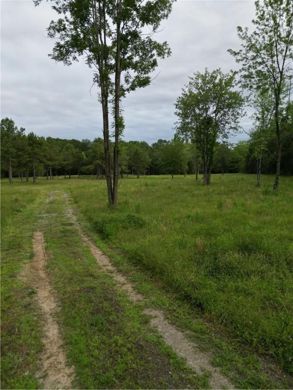 119 Alley Dr, London, AR 72847