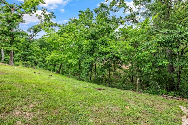 29 Kentallen Ln, Bella Vista, AR 72715 - view of green lawn featuring a wooded view