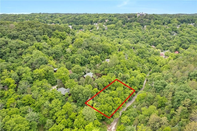 TBD Mill Hollow Rd, Eureka Springs, AR 72632