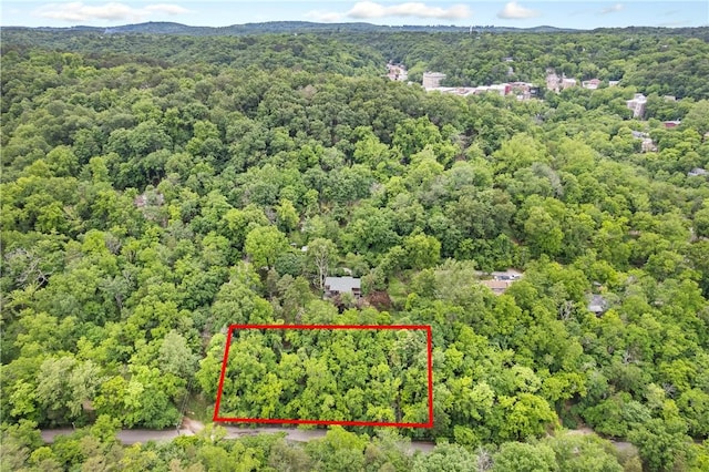 TBD Mill Hollow Rd, Eureka Springs, AR 72632