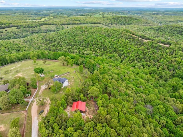 10908 Pecks Dr, Harrison, AR 72601 - photo 40