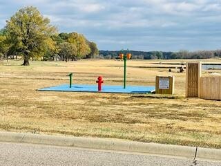 10211 Lydia Ln, Danville, AR 72833 - view of surrounding community