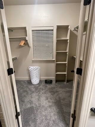 10211 Lydia Ln, Danville, AR 72833 - walk in closet featuring carpet flooring