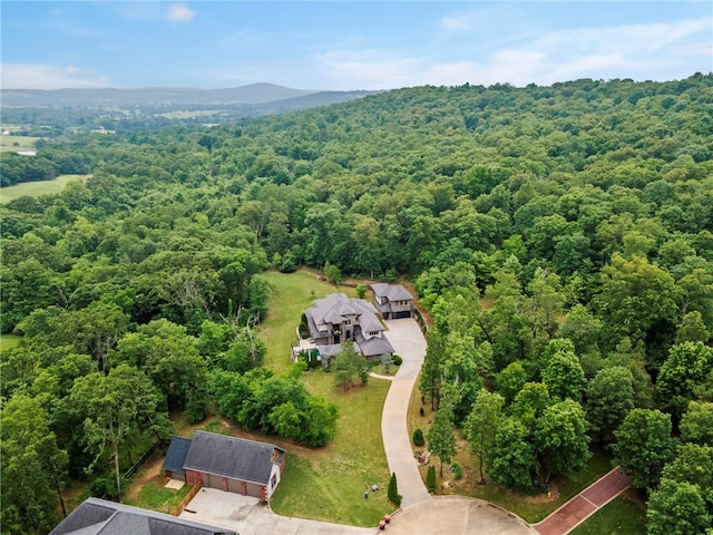 3634 Sugarberry Ln, Springdale, AR 72764 - view from above of property featuring a forest