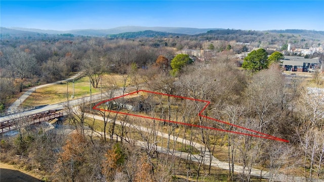 956 W Cato Springs Rd, Fayetteville, AR 72701 - photo 4