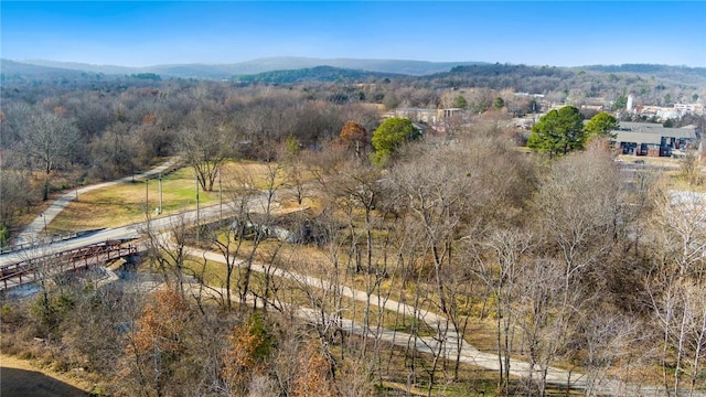 956 W Cato Springs Rd, Fayetteville, AR 72701 - photo 5