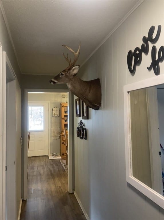 817 Madison 8610, Huntsville, AR 72740 - hallway featuring dark wood-type flooring and ornamental molding