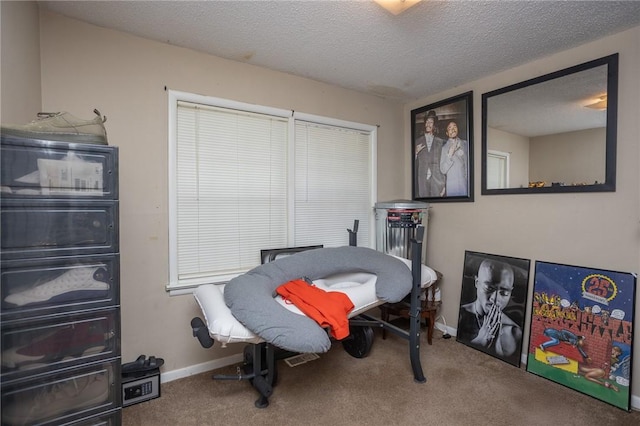 1627 W Hefley St, Fayetteville, AR 72703 - carpeted bedroom with a textured ceiling and baseboards