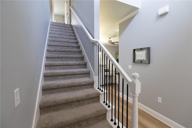 5803 SW Gentle Winds Ave, Bentonville, AR 72713 - stairs featuring ceiling fan, baseboards, and wood finished floors