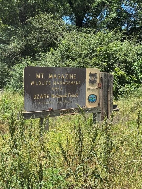 000 Slo Fork Rd, Dardanelle, AR 72834