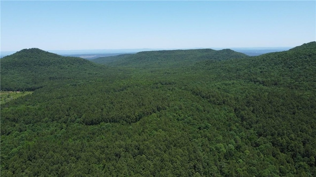 000 Slo Fork Rd, Dardanelle, AR 72834