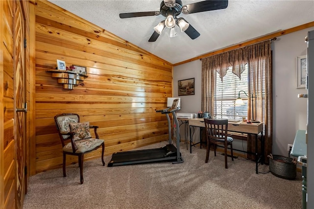 2895 County Road 116, Eureka Springs, AR 72631 - office space featuring vaulted ceiling, carpet flooring, wood walls, a ceiling fan, and a textured ceiling