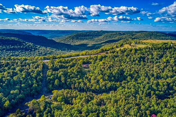96NC6450 457 NC-6012, Jasper, AR 72641 - drone / aerial view of a forest