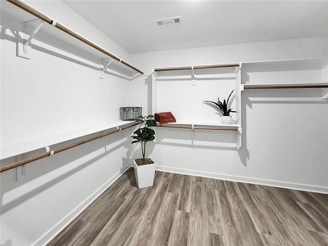 2822 N Grey Squirrel Dr, Fayetteville, AR 72704 - walk in closet featuring wood finished floors