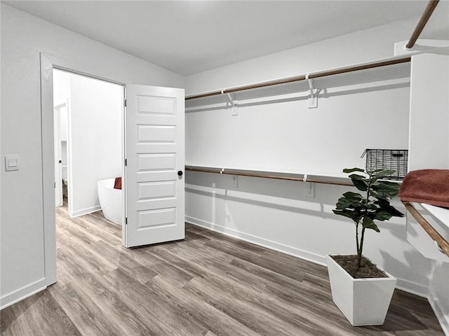 2822 N Grey Squirrel Dr, Fayetteville, AR 72704 - walk in closet featuring wood finished floors
