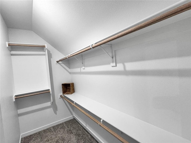 2822 N Grey Squirrel Dr, Fayetteville, AR 72704 - walk in closet with vaulted ceiling and dark carpet