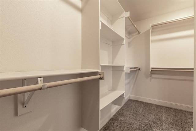 600 Gala Cir, Bentonville, AR 72712 - walk in closet featuring carpet floors