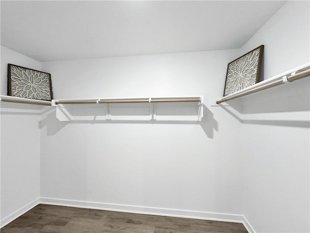 1661 Ridgeview Dr, Springdale, AR 72762 - walk in closet featuring wood finished floors
